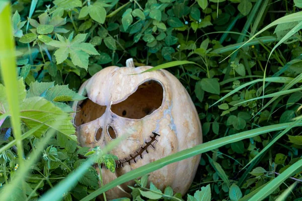Крупный План Светящейся Тыквы Хэллоуин Траве — стоковое фото