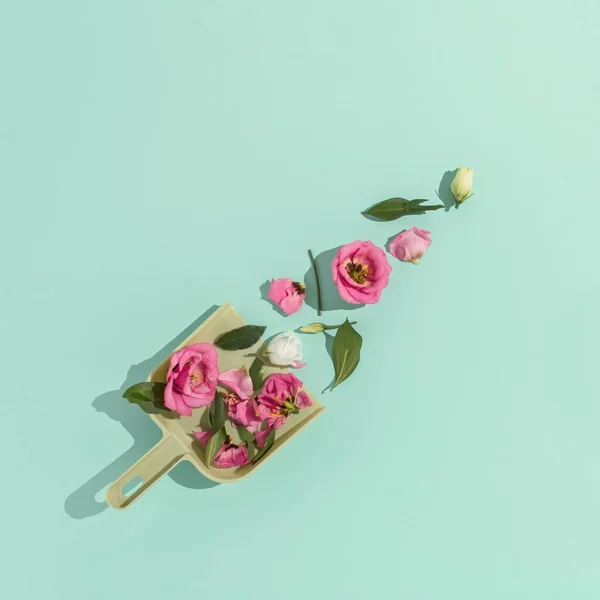 Eine Grüne Kehrschaufel Mit Rosa Rosenblüten Und Grünen Blättern Auf — Stockfoto