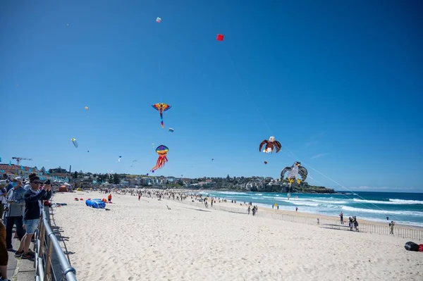 Kite Festival Bondi Beach Festival Winds — Stock Photo, Image