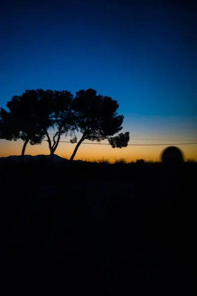 日没時の美しい森の垂直ショット — ストック写真