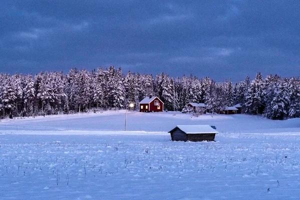雪に覆われた松の木がある森の近くの小さな家の美しい冬のシーンHomyrfors Kalix Sweden — ストック写真
