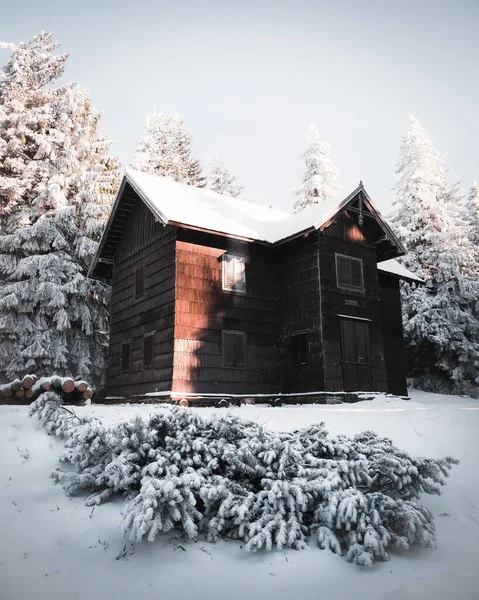 Pionowe Ujęcie Drewnianego Domu Przed Świerkami Pokrytymi Śniegiem Chłodny Zimowy — Zdjęcie stockowe