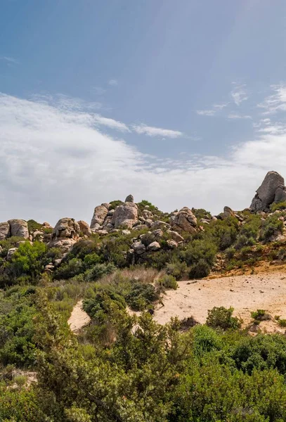 チュニジアの砂浜で岩だらけの崖と緑の木の垂直ショット — ストック写真