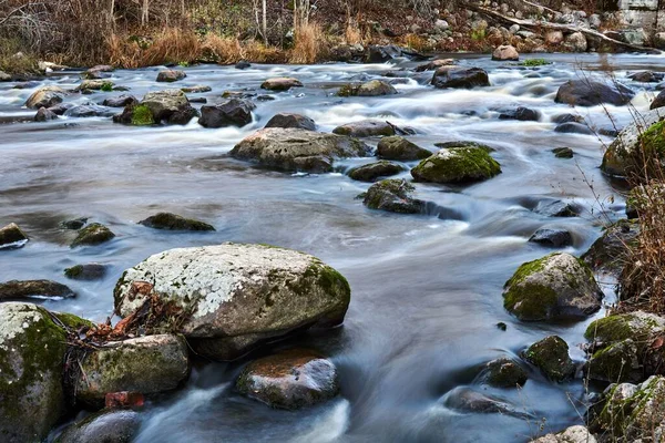 Nahaufnahme Eines Fließenden Flusses Einem Wald — Stockfoto