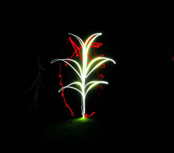 鮮やかなネオンの花の装飾が夜の庭を演出します — ストック写真