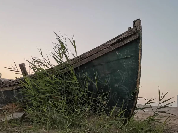 Nahaufnahme Eines Holzbootes Das Einem Ufer Mit Wildem Gras Festgemacht — Stockfoto