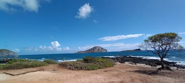 Vista Playa Hawai Claro Cielo Iluminado Por Sol Fondo —  Fotos de Stock