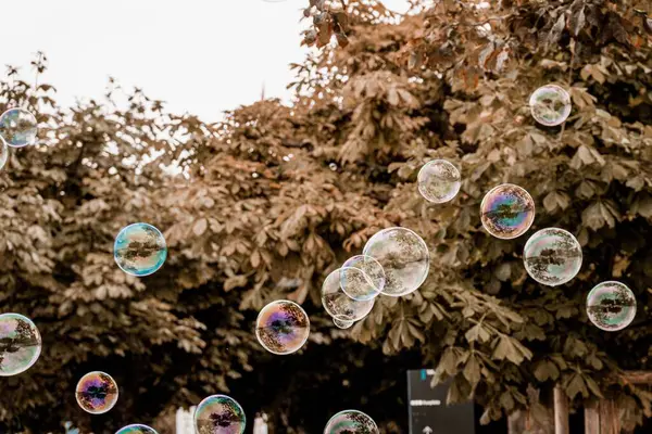 Una Hermosa Toma Burbujas Jabón Flotando Cerca Árboles Secos —  Fotos de Stock