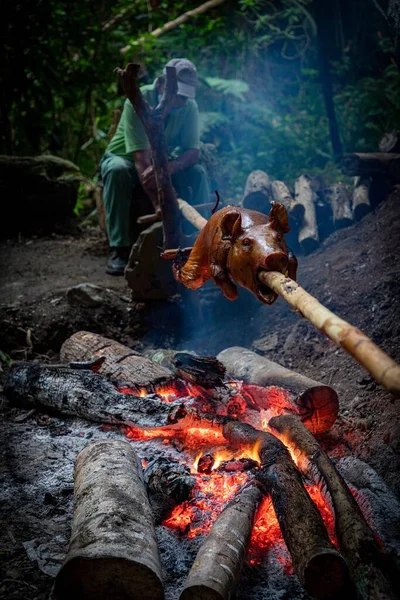 森の中のたき火の上の棒にロースト豚の垂直ショット — ストック写真