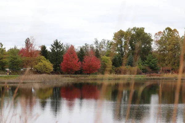 Uma Vista Outono Lago Que Reflete Árvores Coloridas Circundantes Céu — Fotografia de Stock