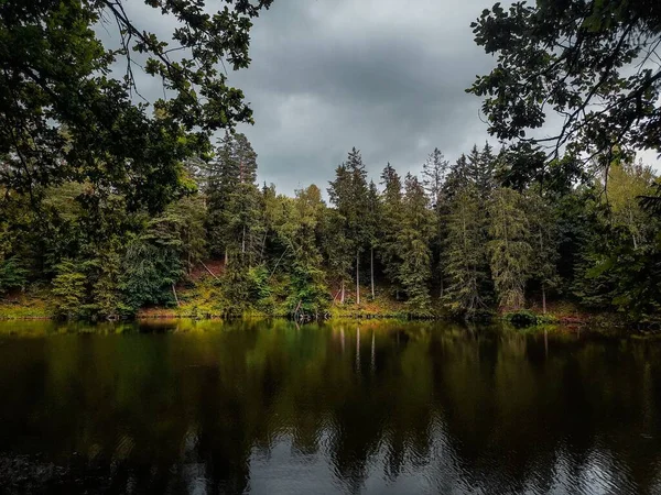 ポーランドのオルスティンの水に反射する緑の木々に囲まれた美しい公園 — ストック写真