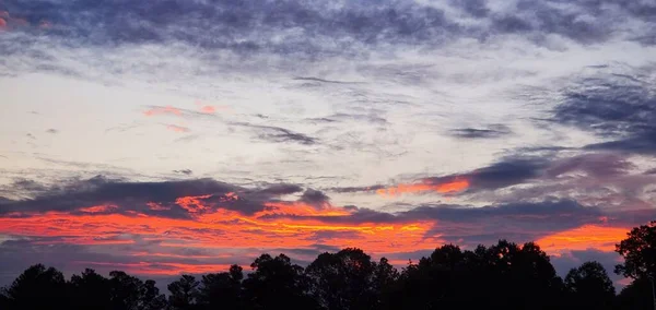 Ett Panorama Över Den Molniga Himlen Solnedgången Med Silhuett Träd — Stockfoto