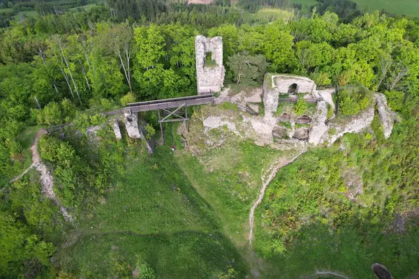 Luftaufnahme Der Burgruine Zubstejn Inmitten Grüner Bäume Der Tschechischen Republik — Stockfoto