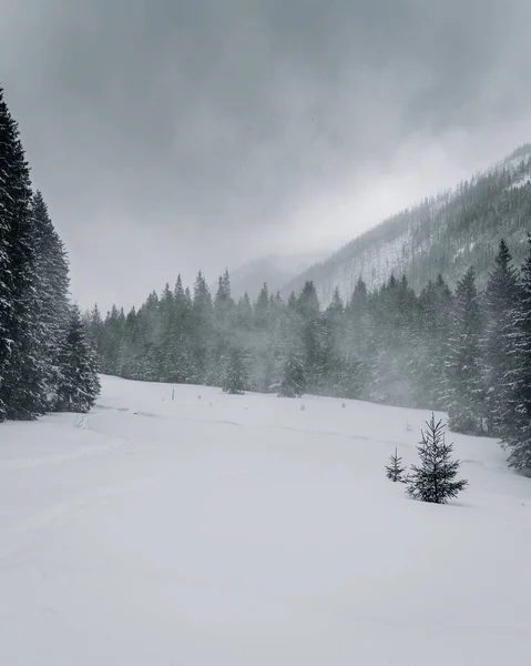 Ένα Κάθετο Χιονισμένο Βουνό Ομιχλώδες Ζοφερό Φόντο Του Ουρανού — Φωτογραφία Αρχείου