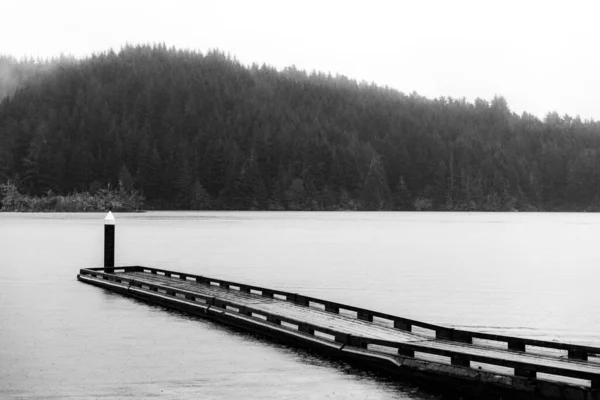 Monochrome Shot Empty Pier Scenic Tahkenitch Lake Douglas County — Stock Photo, Image