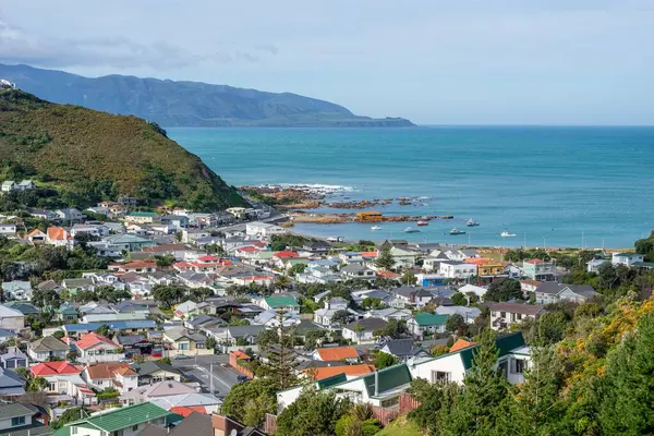 Widok Powietrza Domów Zatoce Przybrzeżnej Island Wellington Nowa Zelandia Bujną — Zdjęcie stockowe