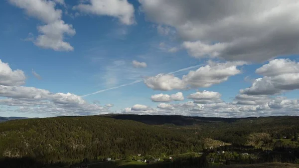Eine Luftige Landschaft Eines Bewaldeten Hangs Einem Sonnigen Tag — Stockfoto