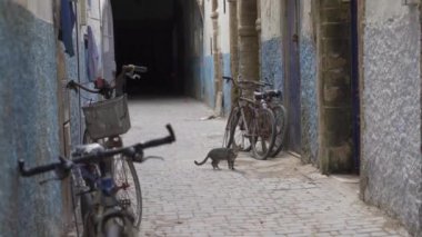 Essaouira, Fas 'taki binaların yakınına park edilmiş bisikletlerin yakın görüntüsü.