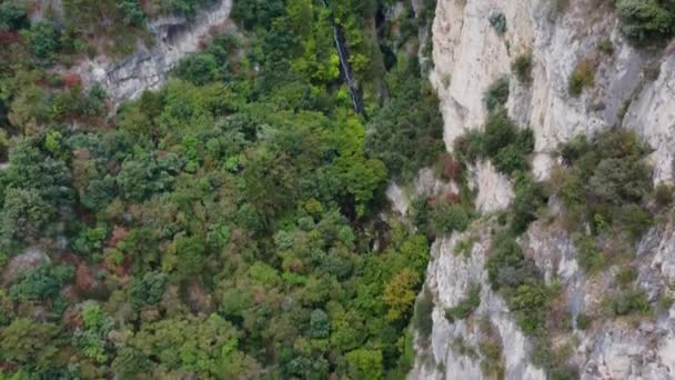 イタリア トレンティーノの岩場に生えている森の木のドローンビュー — ストック動画