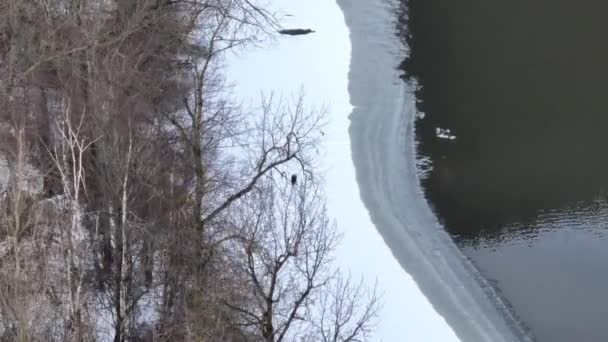ブリティッシュ コロンビア州 カナダのサマス川の雪に覆われた銀行の裸の木の空中風景 — ストック動画