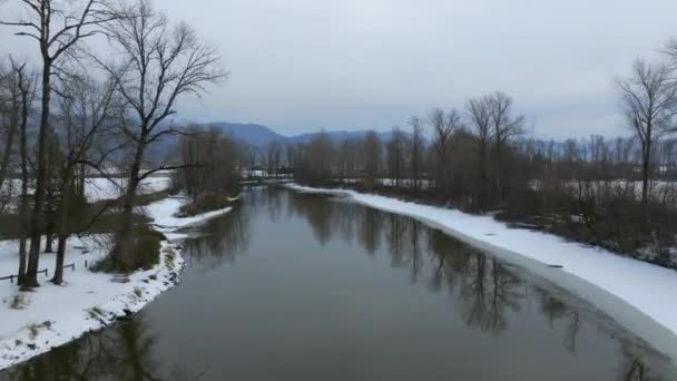 ブリティッシュコロンビア州 カナダのサマス川の雪の銀行の裸の木の無人島の風景 — ストック動画
