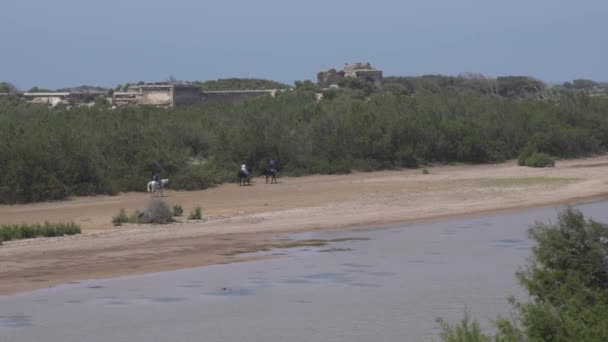 在Essaouira的Dar Sultan宫附近 人们骑马的空中图像 — 图库视频影像