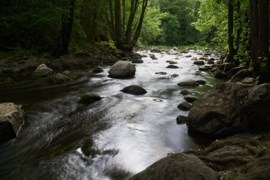 Ağaçlarla çevrili kayalık bir dereden akan uzun açılı su manzarası.