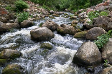 Ormandaki kayalık bir arazide akan nehrin yüksek açılı görüntüsü.