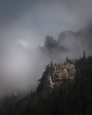 Üzerinde sis bulunan yeşil Tatras (Tatry Wysokie) dağının dikey görünümü