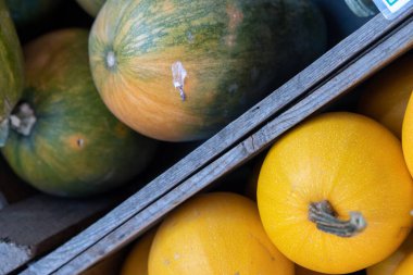 Sarı ve yeşil balkabaklarının üst görüntüsü