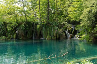 Plitvice Gölleri Ulusal Parkı 'nda bitki örtüsü ve gölü olan güzel bir şelale manzarası.