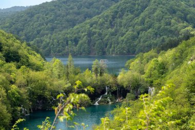 Plitvice Gölleri Ulusal Parkı 'nın arka planında dağ olan güzel bir göl ve bitki örtüsü manzarası.