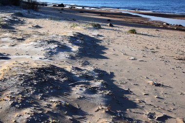 Güneşli bir günde güzel bir kumsal görüntüsü.