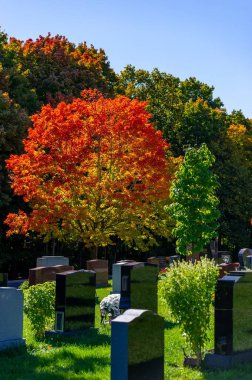 Beechwood Mezarlığı, Kanada Ulusal Mezarlığı Sonbahar sezonu renkleri