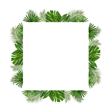 Kare kopyalanmış beyaz arkaplandaki tropikal yaprakların üç boyutlu görüntülemesi