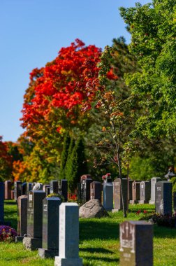 Beechwood Mezarlığı, Kanada Ulusal Mezarlığı Sonbahar sezonu renkleri