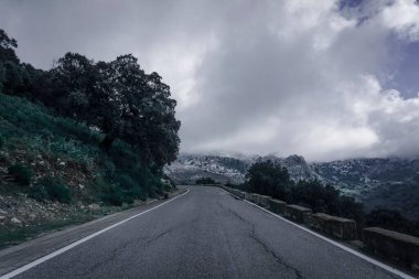 Bulutlu gökyüzüne karşı ağaçlarla çevrili asfalt bir dağ yolu.