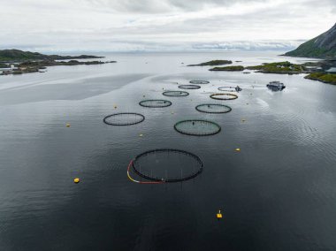 Bir balıkçı çiftliğinin havadan görünüşü