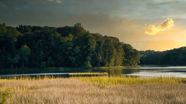 鬱蒼とした木々に囲まれた湖の空中風景 — ストック写真