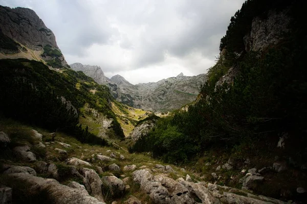 Widok Górską Dolinę Skałami Trawą Pierwszym Planie Durmitor Massif Czarnogóra — Zdjęcie stockowe