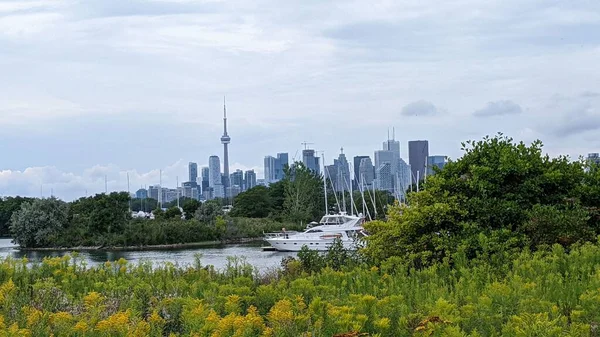 Een Luchtfoto Van Het Stadsgezicht Toronto Omringd Door Gebouwen — Stockfoto