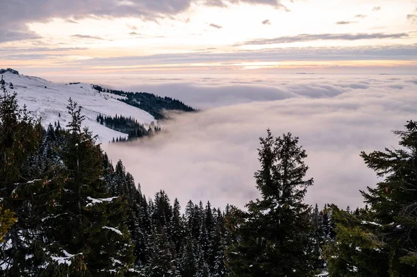 Мальовничий Знімок Лісу Засніженій Горі Хмарах — стокове фото