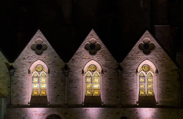 Cathédrale Paderborn Avec Des Vitraux Nuit Allemagne — Photo