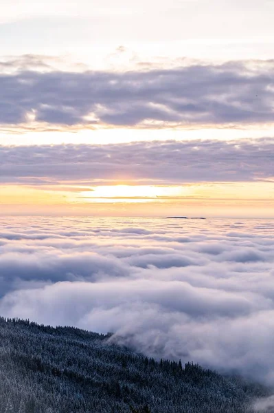 雲の中の山の上の森の絵の垂直ショット — ストック写真
