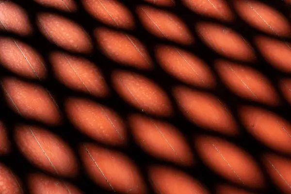 Shadows Patterns Wooden Background — Stock Photo, Image