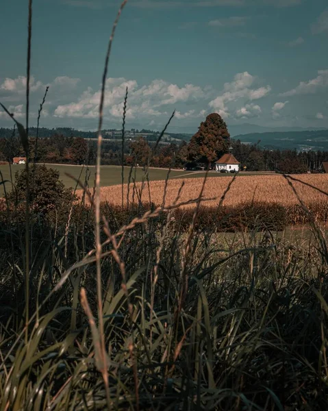 Vertical Shot Rural Fields Countryside Nottwil Switzerland — Stock Photo, Image