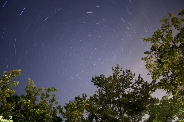 Ein Niedriger Winkel Von Einem Sternenhimmel Gegen Die Grünen Bäume — Stockfoto