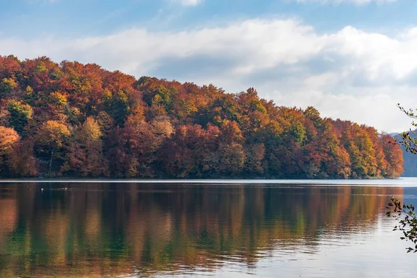 Bir Gölün Kıyısındaki Sonbahar Ormanının Güzel Manzarası — Stok fotoğraf