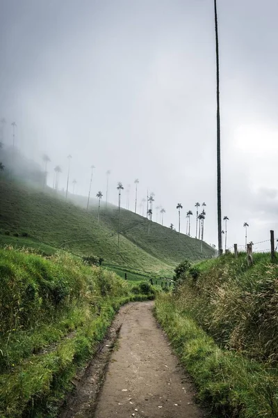 コロンビアの霧の雲の下の田舎の緑のココラ渓谷の歩道の垂直ショット — ストック写真