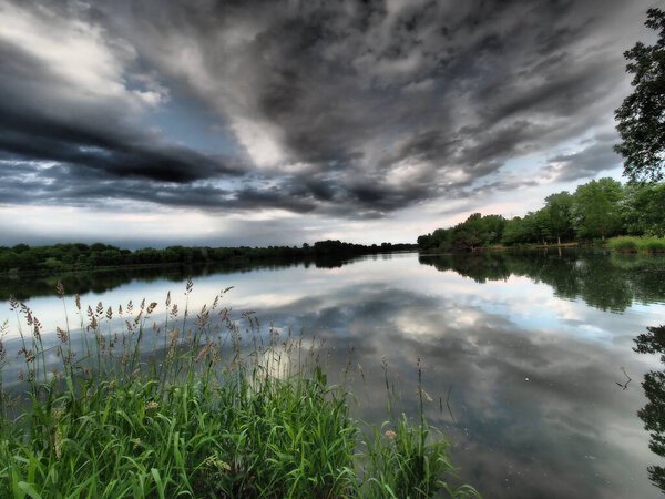 A scenic shot of clouds' and vegetation's perfect reflection on a lake